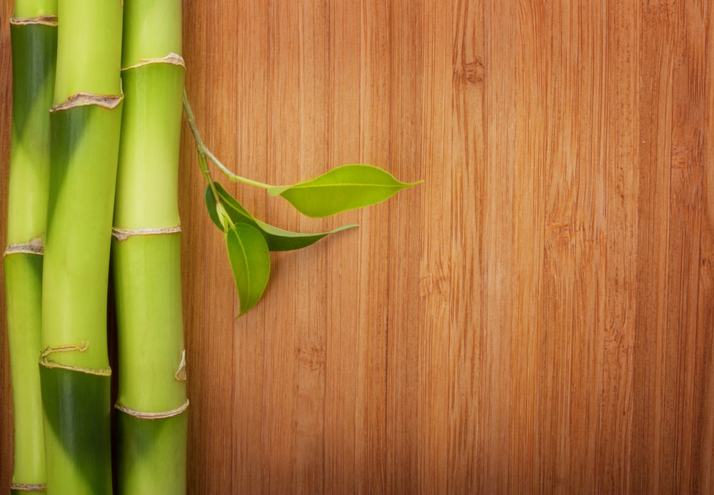 How To Clean Bamboo Floors | Expert Advice