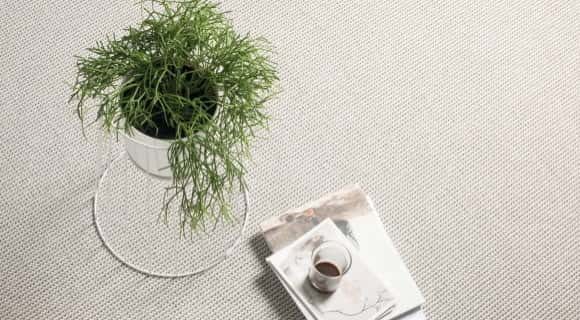 Plant on Vase — Flooring Experts in Brisbane, QLD